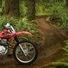 Honda Project