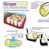 Grape Case Page