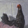 Untitled 22 (The Hen and the Mannequin)