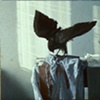 Untitled 5 (Still-life with a Falcon)