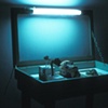 Display Case