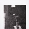 Untitled (with poinsettias)