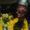 Yellow Chrysanthemums
