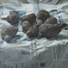Potatoes