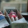Sleeping Dolls with Paper Blankets, Maine