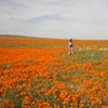 Antelope Valley