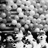 Carnival