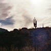 Arizona