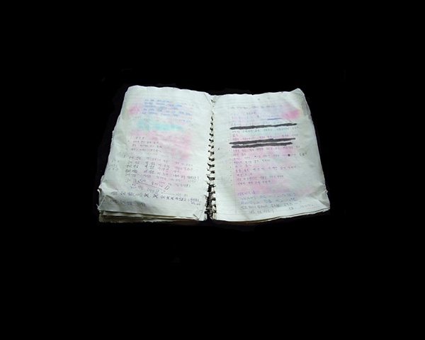 Korean Notebook 16