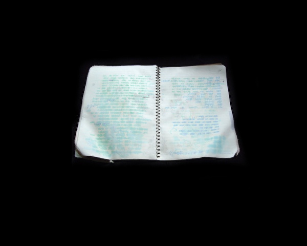 Korean Notebook 2