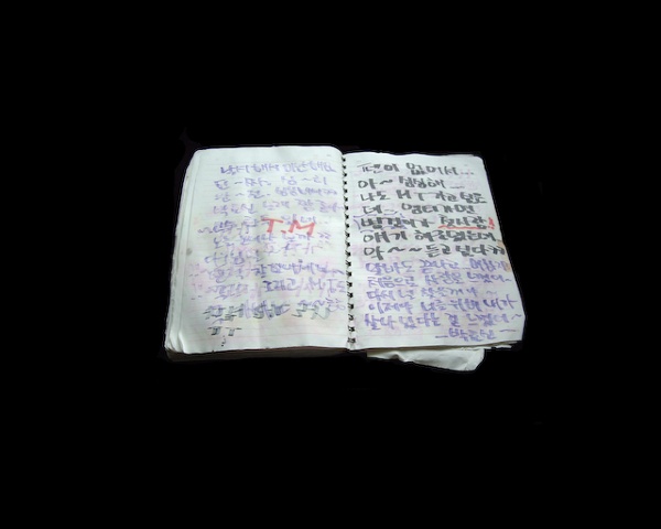 Korean Notebook 3