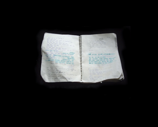 Korean Notebook 5