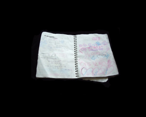 Korean Notebook 12