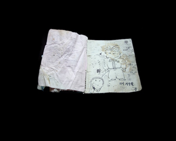 Korean Notebook 11