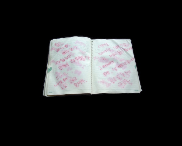 Korean Notebook 9