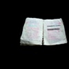 Korean Notebook 16