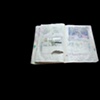 Korean Notebooks