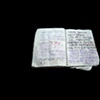 Korean Notebook 3