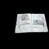 Korean Notebook 8