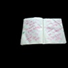Korean Notebook 9