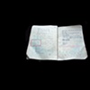 Korean Notebook 27