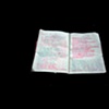 Korean Notebook 19