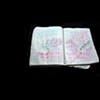 Korean Notebook 25