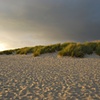 Cannon Beach Dunes

