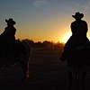 Bull Riders