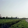 Road to Blyand Abbey