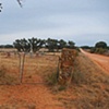 Kimball County Cemetery