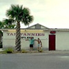 Tan Fannies