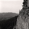 Oyster Dome