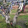 Tree Shrine, No. 2