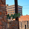 Brick and Cactus
