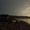 After a Storm