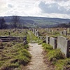Cemetery near Loxley