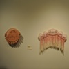 Dream a Little Dream-  Chroma/Hard Twist Fibre show at Gladstone Hotel 2010