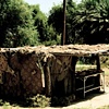 Fruit Stand