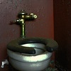 In the Dumps