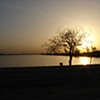 Lonely Day