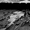 Peeling Black and White