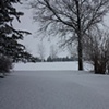 Winter Serenity