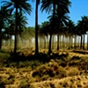 Open Country