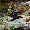 Flowing with Color