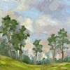 Savannah Sky 1
