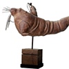 Walrus