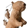 Prairie Dog 