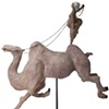 Camel