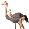 Ostrich